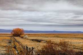 Summer Lake plains-1630.jpg Summer Lake plains-1630.jpg
